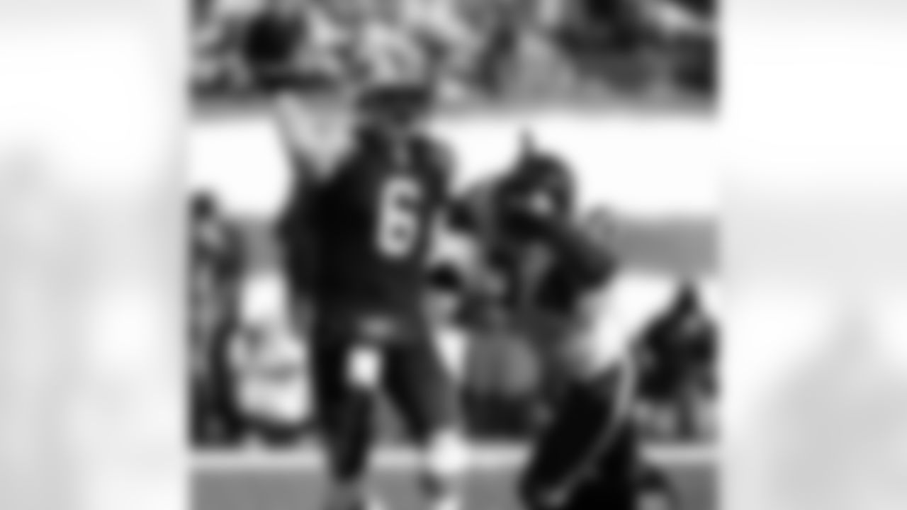 2010 Week 11 Jets vs Texans Game Photos