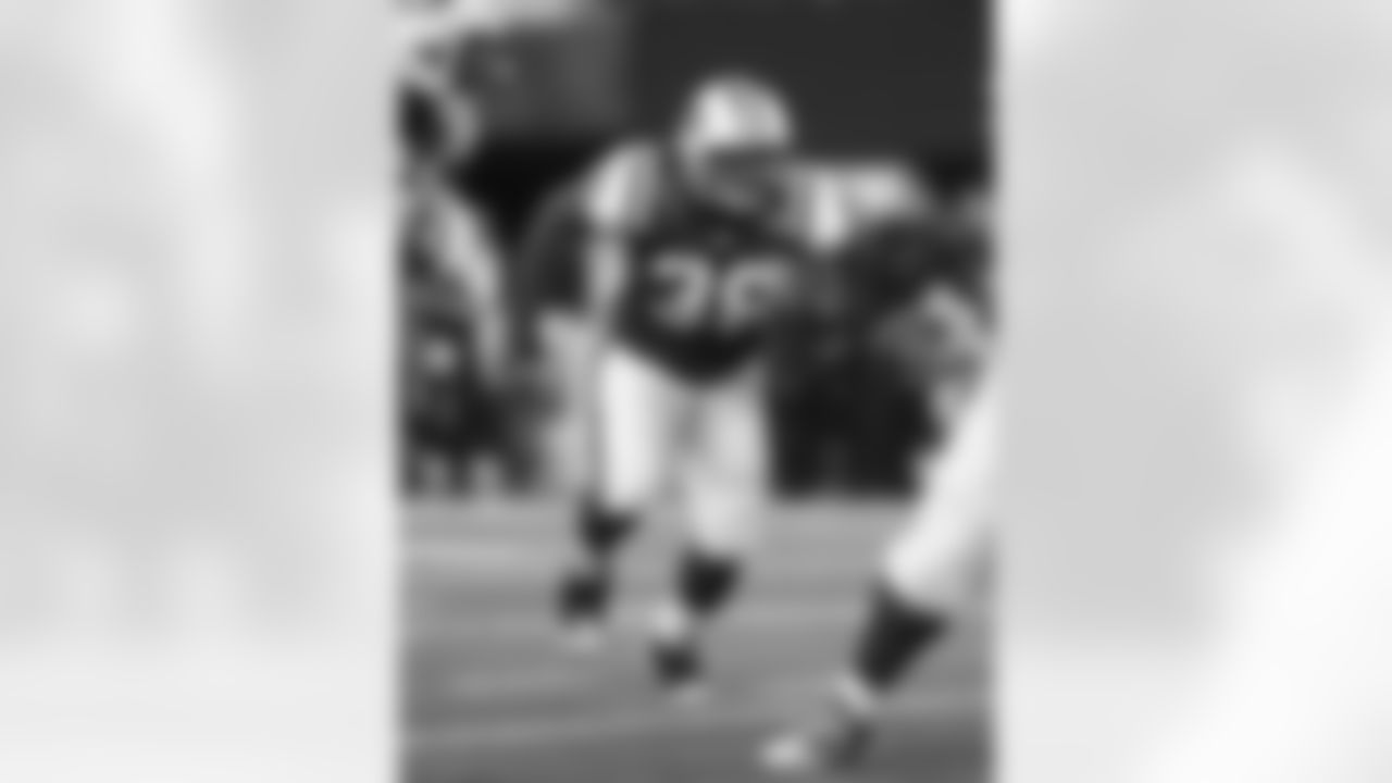 2010 Week 12 Jets vs Bengals Game Photos