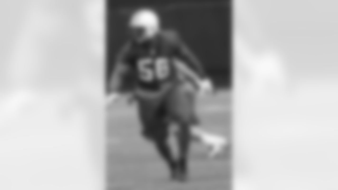 Vernon Gholston Photos