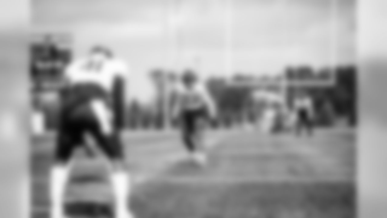 SZP_L0531
