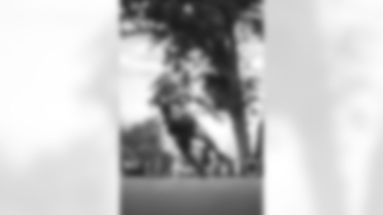E_SS1_7337