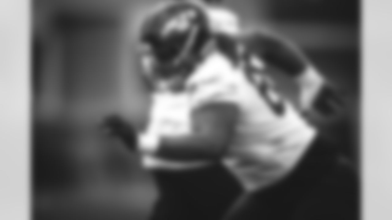 OL Teton Saltes