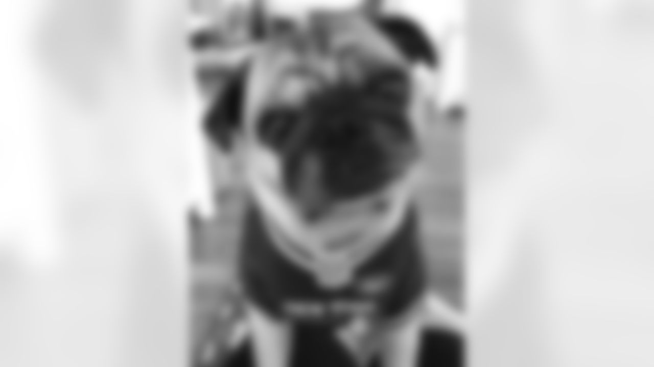 fran.rotellagmail.com_660376404_97439994_CE4DBCC2192646D1A2CDB045D4A550C6
