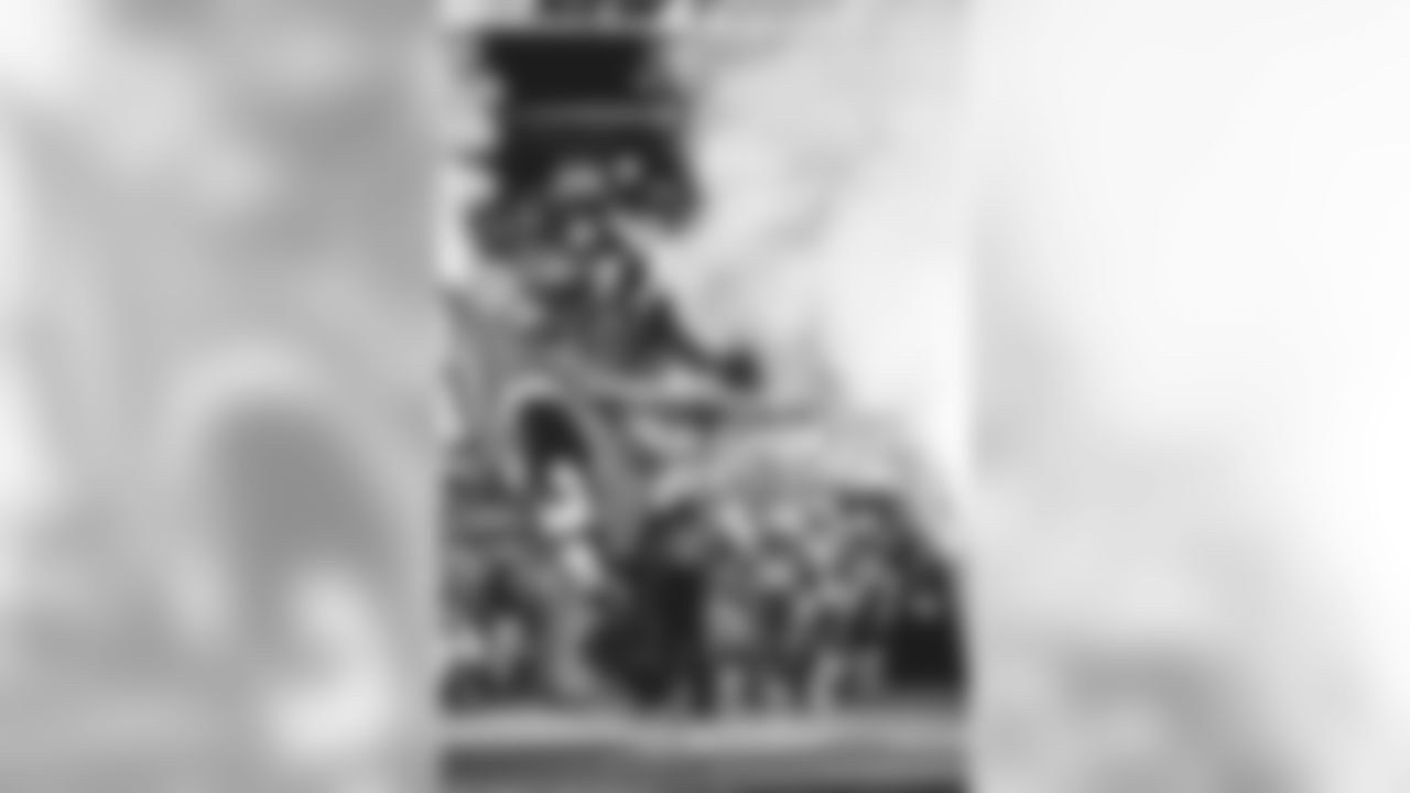 E_FOX_6379