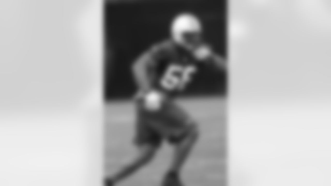 Vernon Gholston Photos
