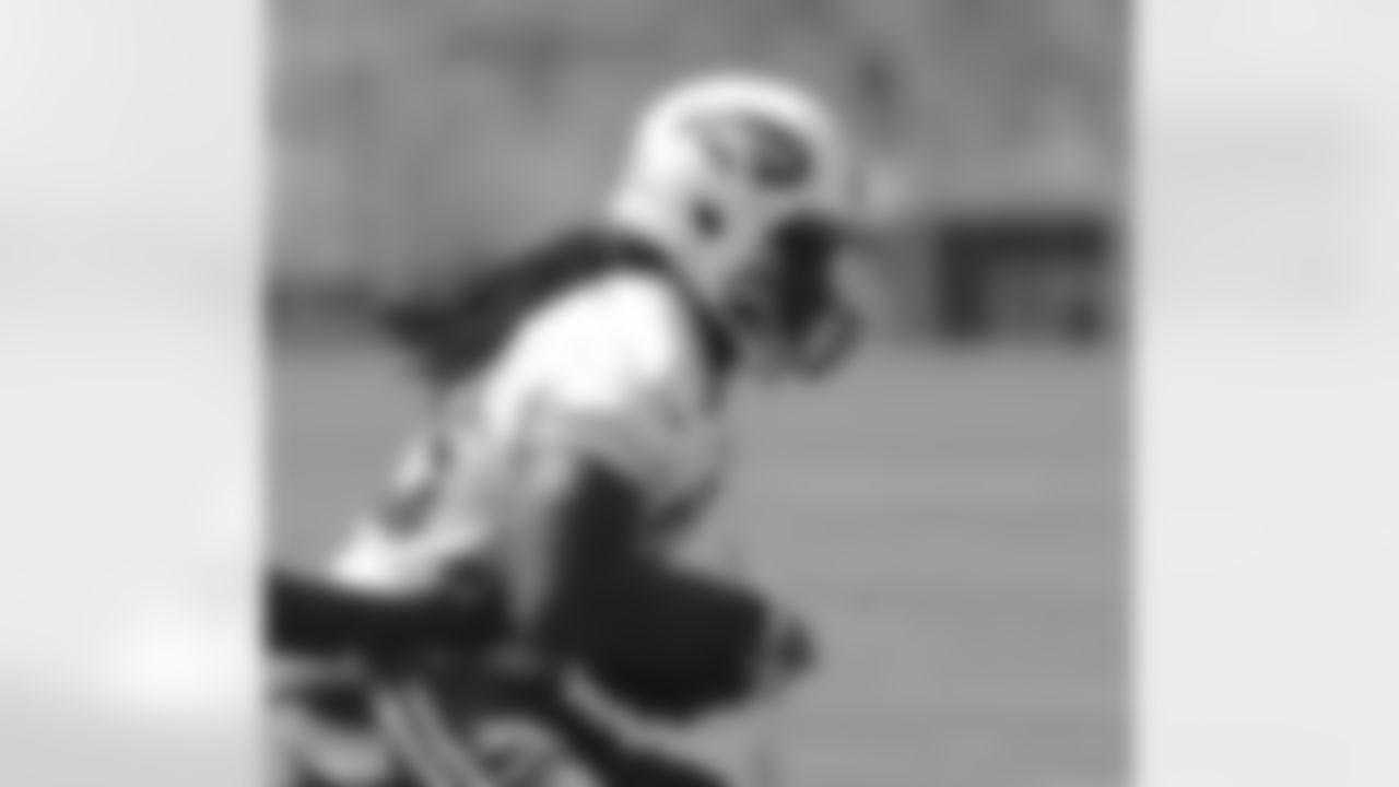 RB Chris Ivory