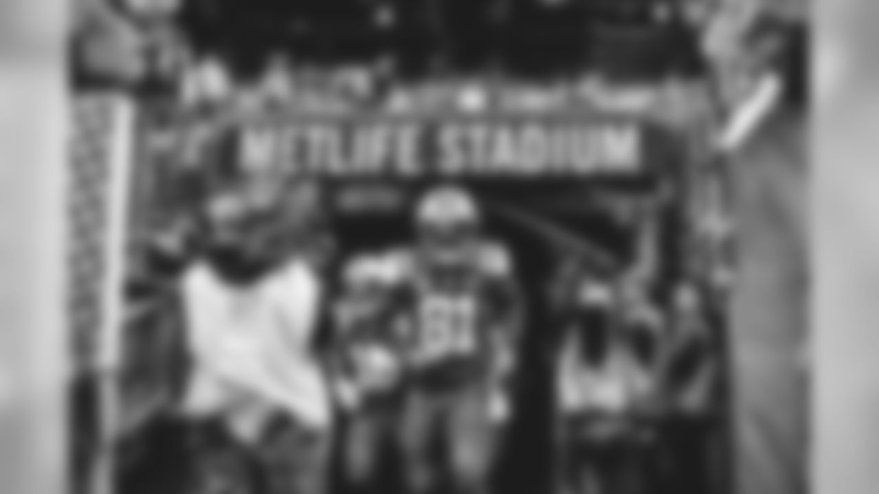 E_FOX_6274