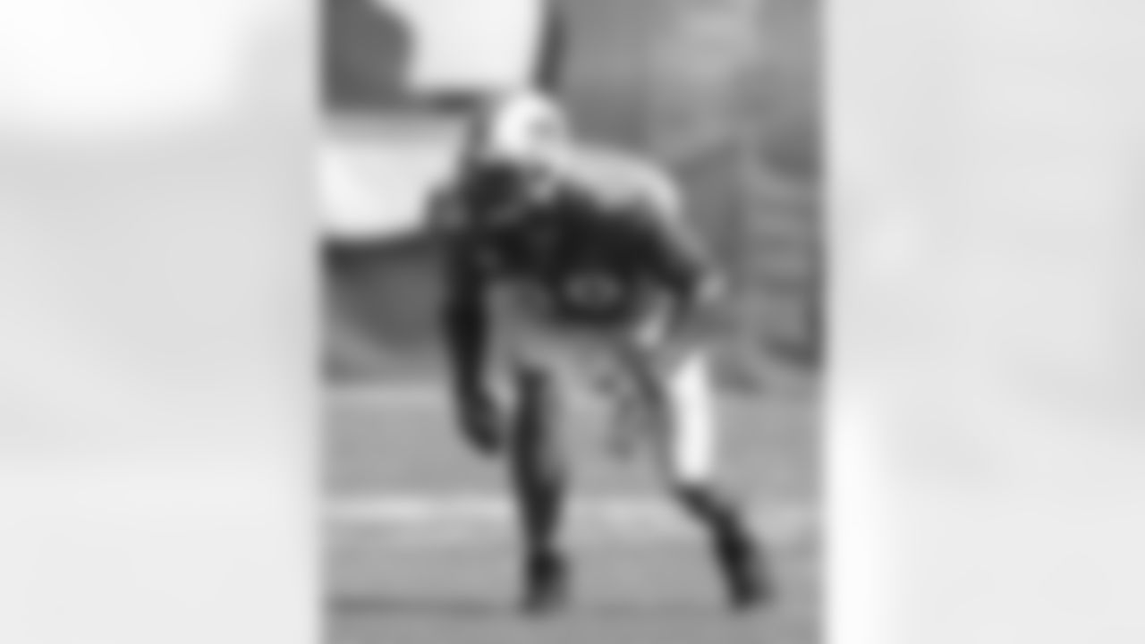 Jason Taylor Photos