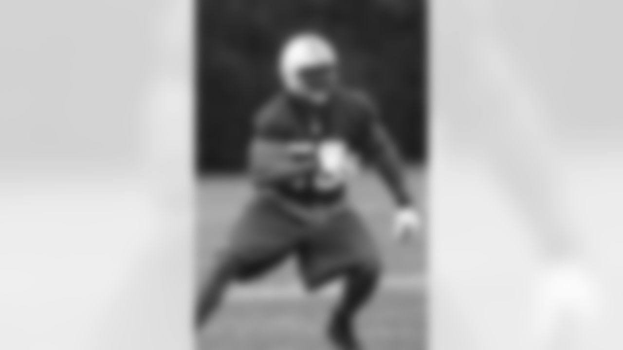 Vernon Gholston Photos