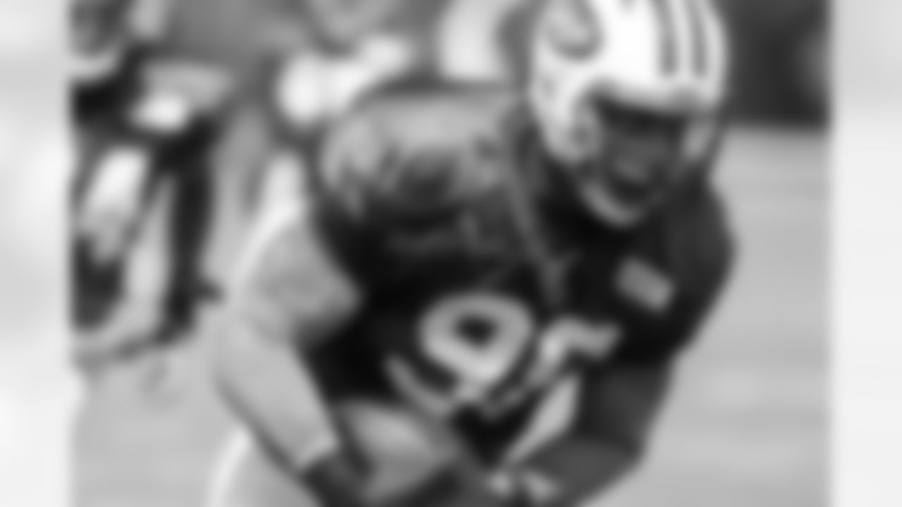 OLB Quinton Coples