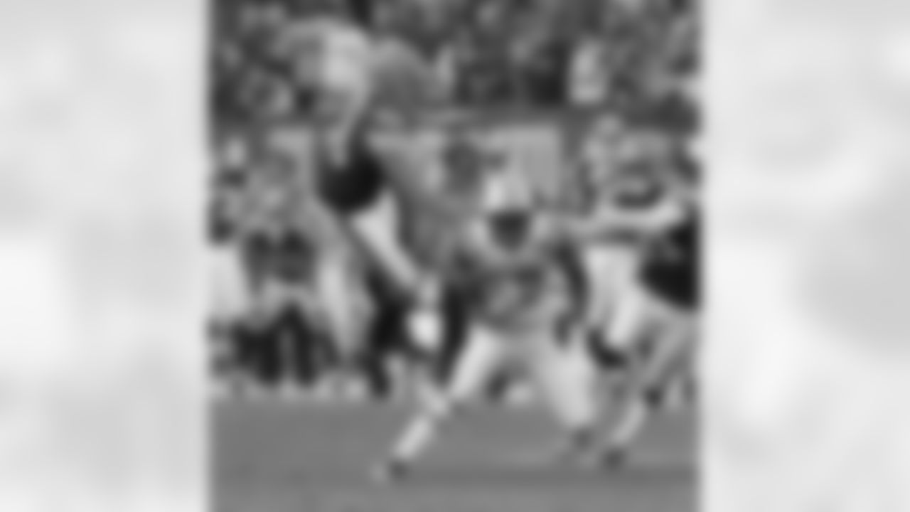 2010 Week 10 Jets vs Browns Game Photos