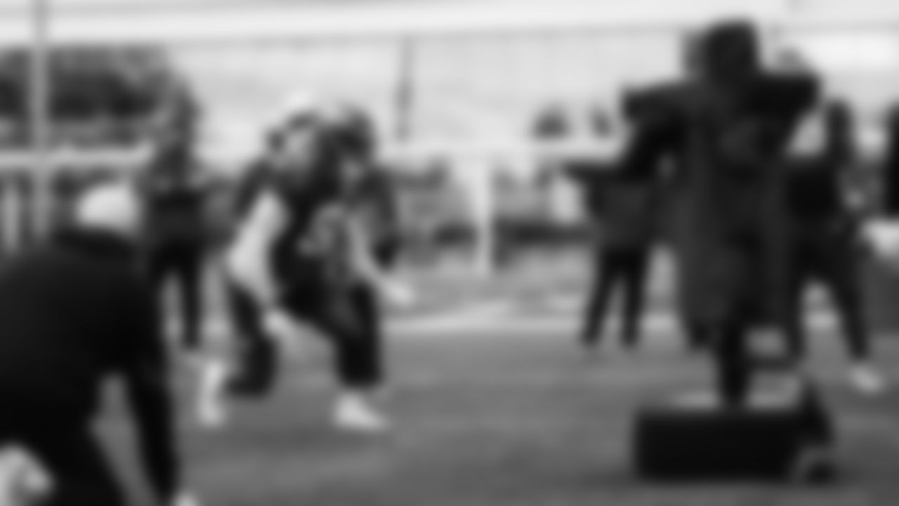 DL Hamilcar Rashed