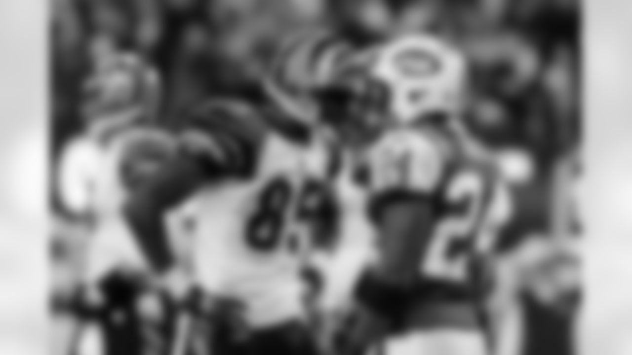 2010 Week 12 Jets vs Bengals Game Photos