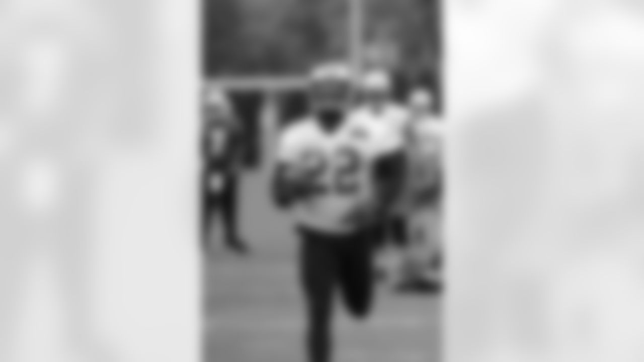 RB Stevan Ridley (PUP)