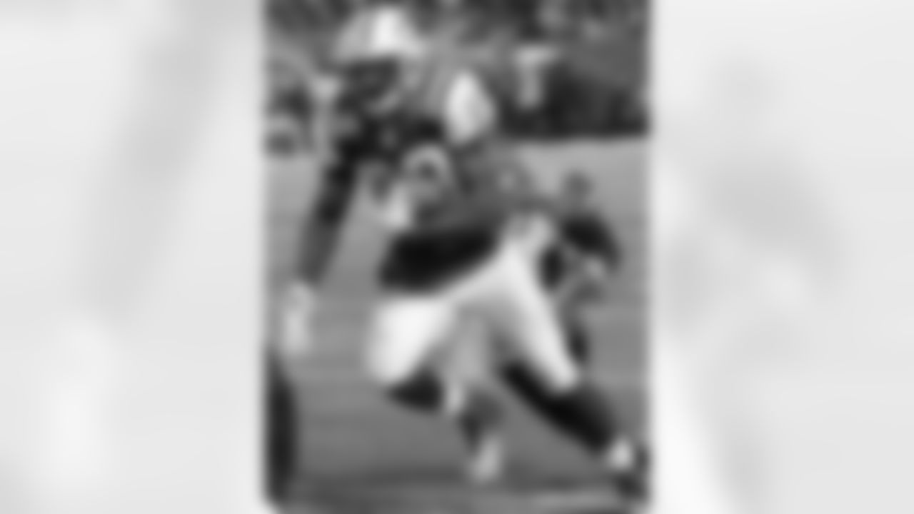 2010 Week 17 Jets vs Bengals Photos