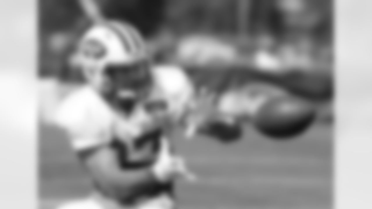 A key free agent signing during this offseason, Eric Decker got off to a quick start, catching nearly every pass thrown his way. He garnered praise for his route-running abilities from QB Michael Vick. A few nagging injuries, however, have kept Decker limited in practice as camp winded down.