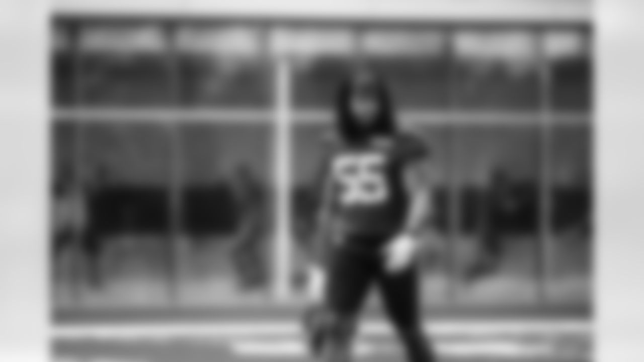 DL Hamilcar Rashed