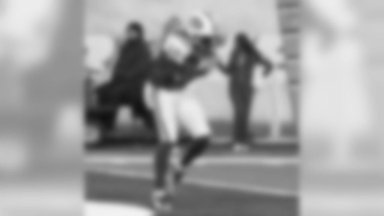 Santonio Holmes Photos