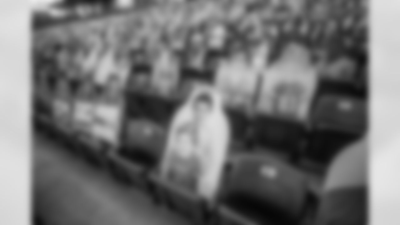 Ford Field Fan Cutouts