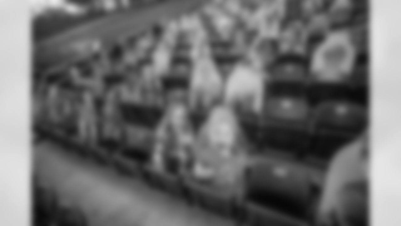 Ford Field Fan Cutouts