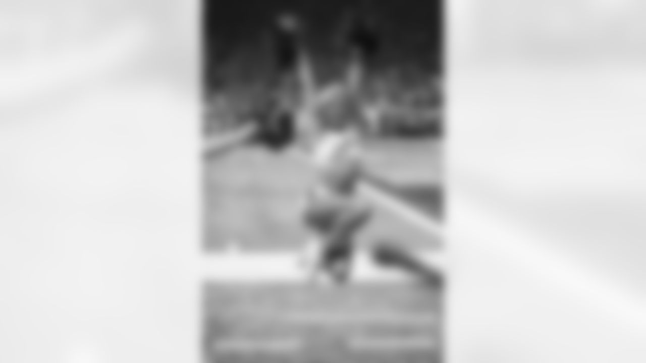 Detroit Lion Vs New England Patriots