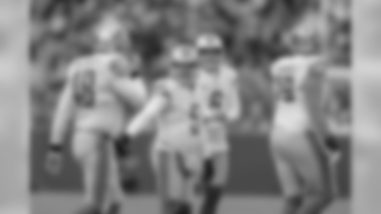 Detroit Lions punter Sam Martin (6) and Detroit Lions kicker Matt Prater (5) celebrate a kick with Detroit Lions long snapper Don Muhlbach (48) during a NFL football game against the Green Bay Packers on Sunday, Dec. 30, 2018 in Green Bay, Wisc. (Detroit Lions via AP).
