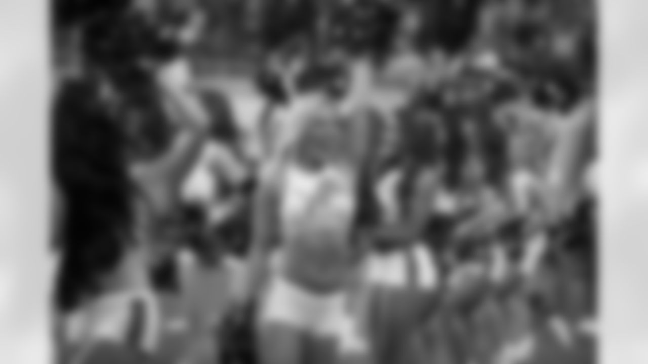 Detroit Lion Vs New England Patriots