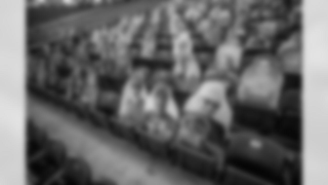 Ford Field Fan Cutouts