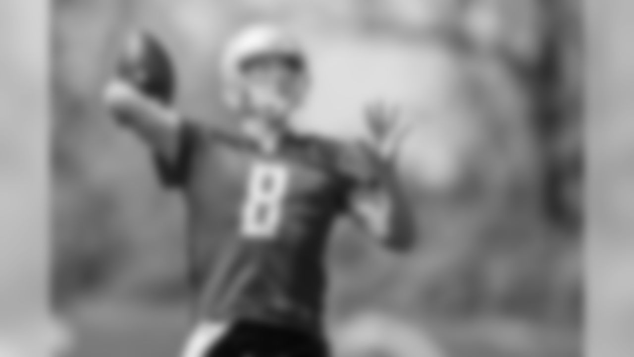 Matt Cassel