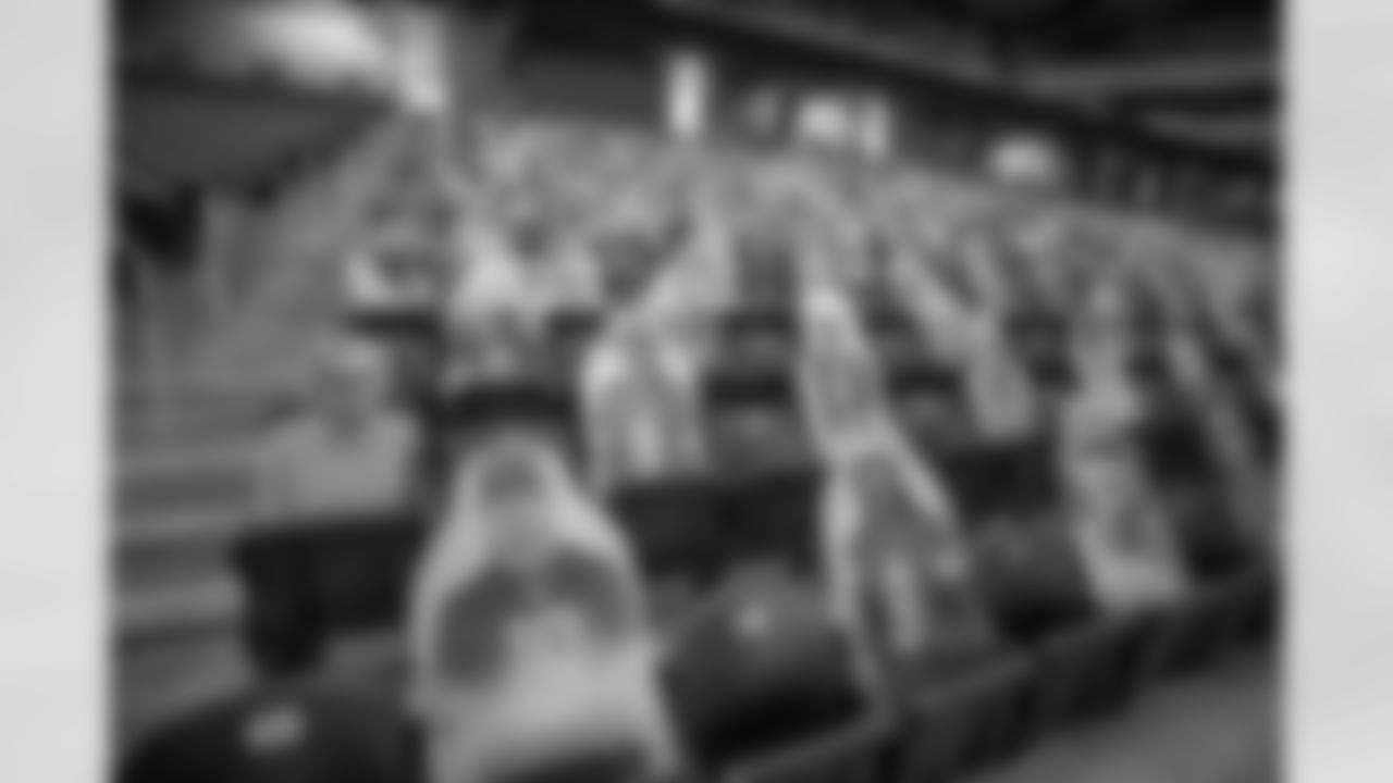 Ford Field Fan Cutouts