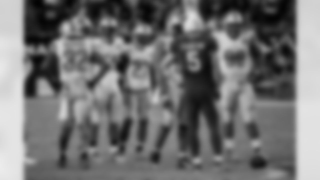Nov. 11, 2014: Lions 6, Cardinals 14