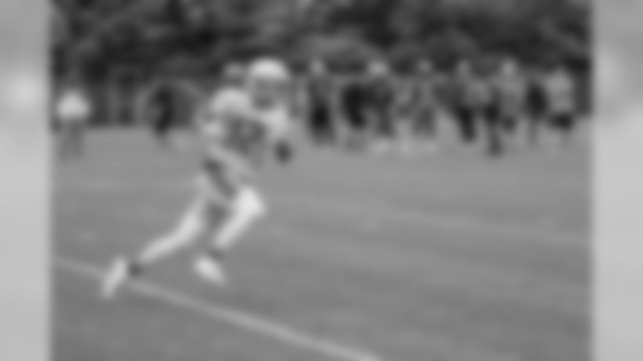 Detroit Lions wide receiver Danny Amendola (12) during Day 3 of minicamp on Thursday, June 6, 2019 in Allen Park, Mich. (Detroit Lions via AP)