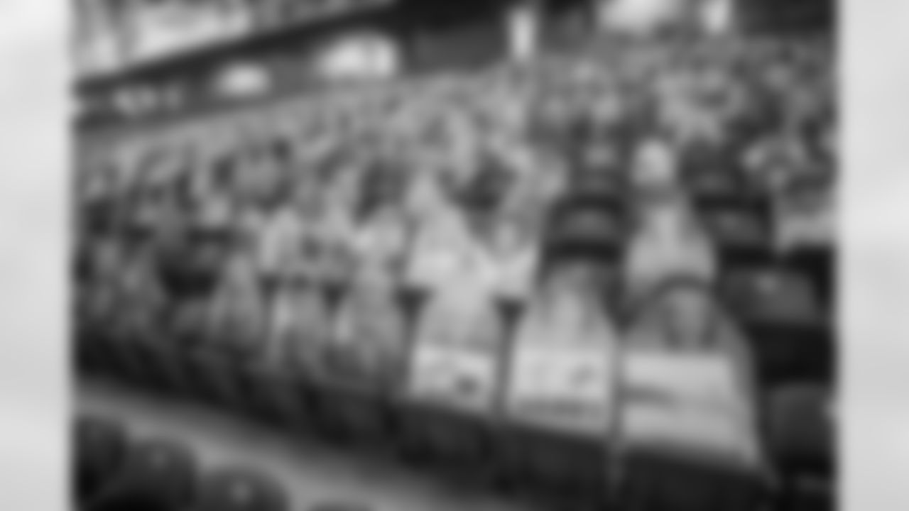 Ford Field Fan Cutouts