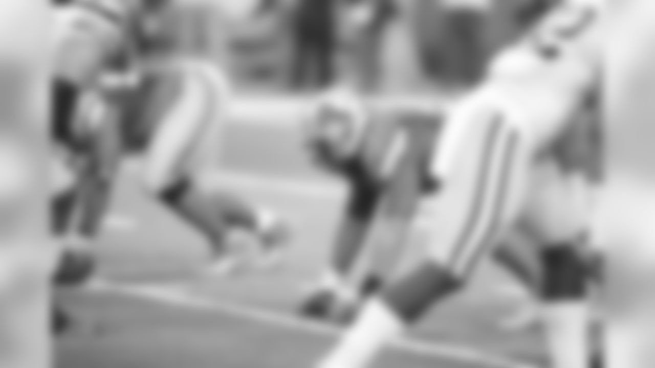 Haloti Ngata