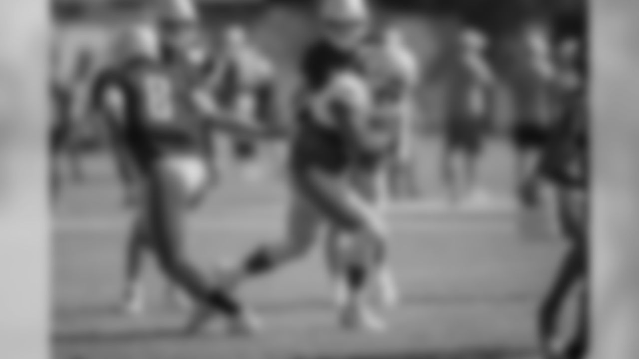 Detroit Lions running back LeGarrette Blount (29) takes the handoff during training camp practice on Thursday, Aug. 2, 2018 in Allen Park, Mich. (Detroit Lions via AP)