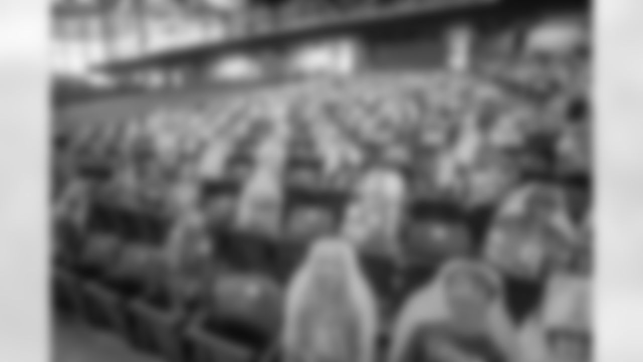 Ford Field Fan Cutouts