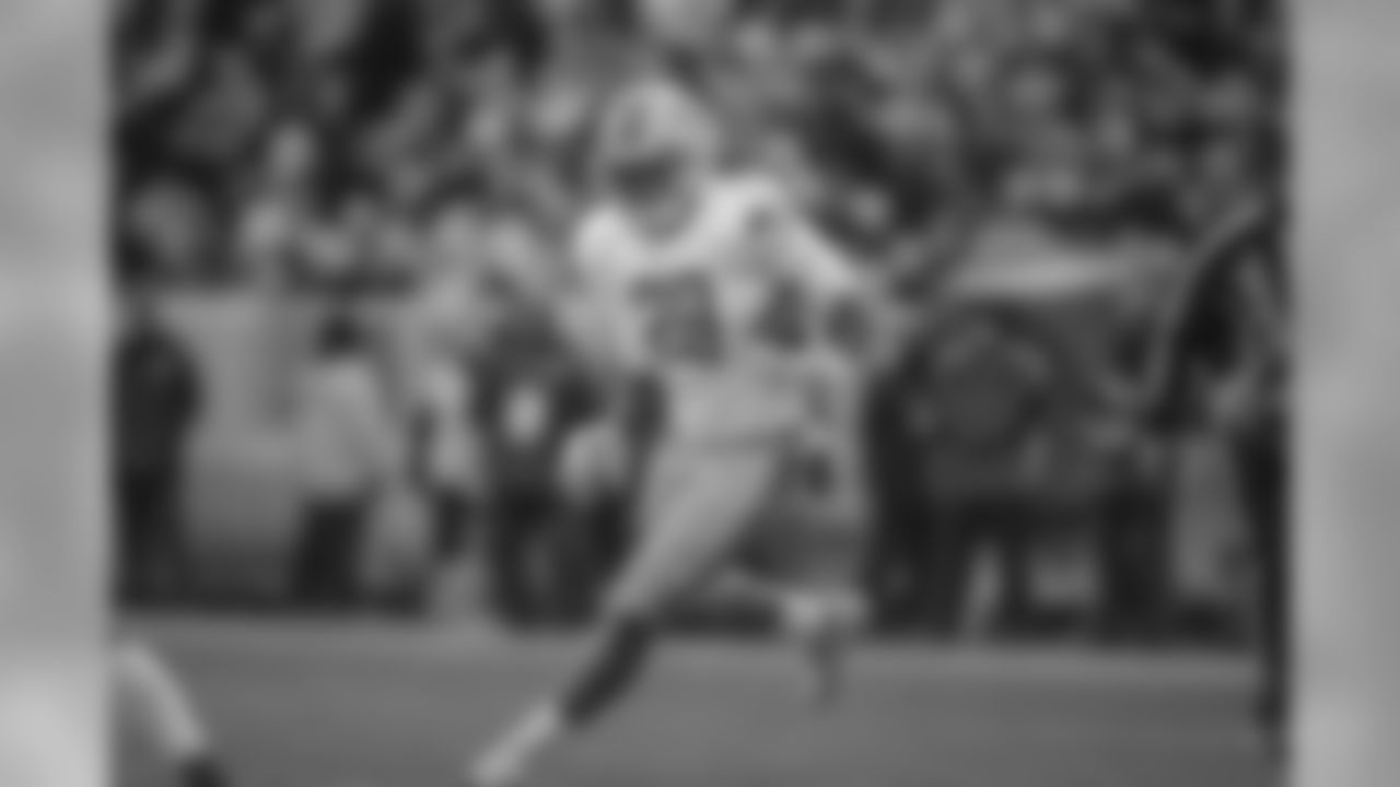 Detroit Lions running back LeGarrette Blount (29) during a NFL football game against the Green Bay Packers on Sunday, Dec. 30, 2018 in Green Bay, Wisc.