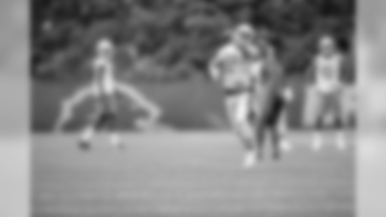 Detroit Lions wide receiver Danny Amendola (12) makes a one-handed catch during Day 1 of minicamp on Tuesday, June 4, 2019 in Allen Park, Mich. (Detroit Lions via AP)
