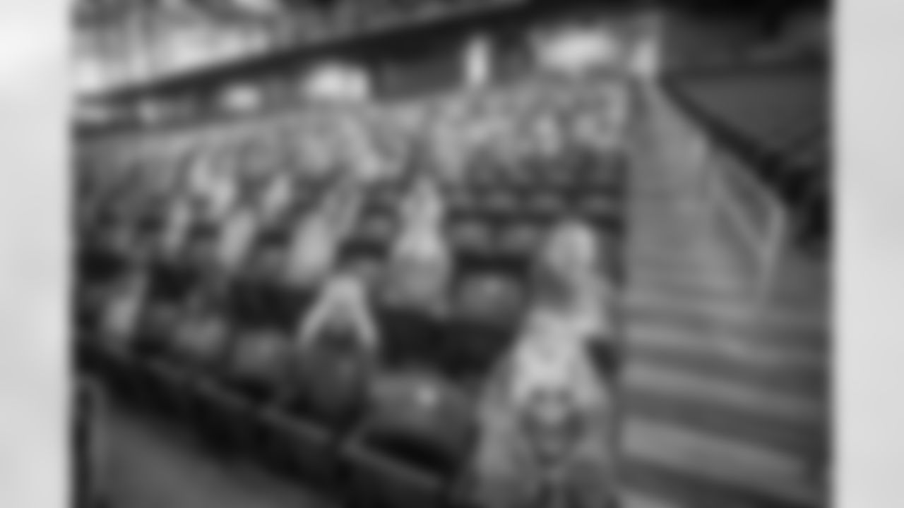 Ford Field Fan Cutouts
