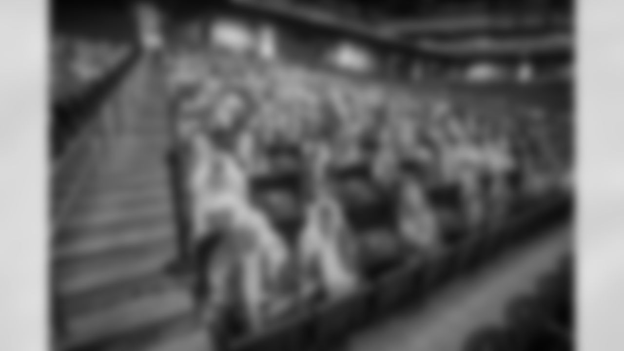 Ford Field Fan Cutouts