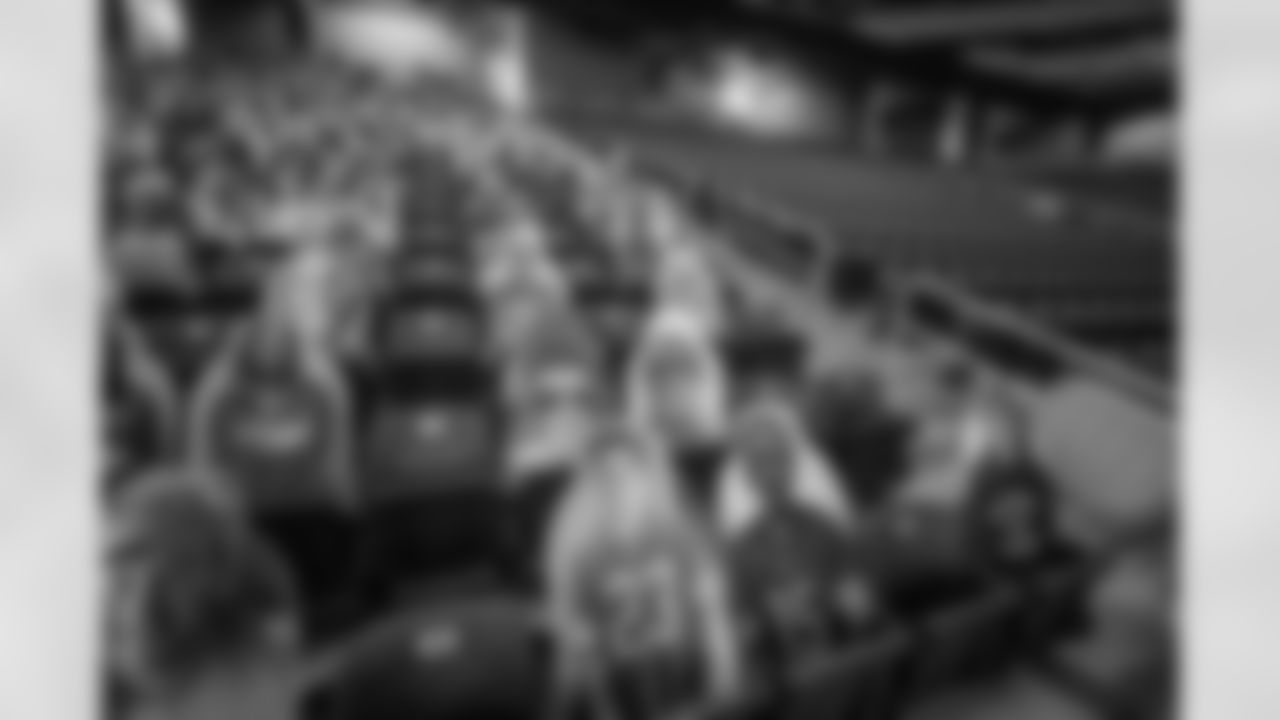 Ford Field Fan Cutouts