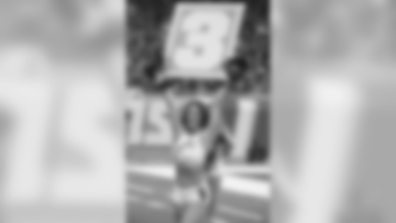 Detroit Lion Vs New England Patriots