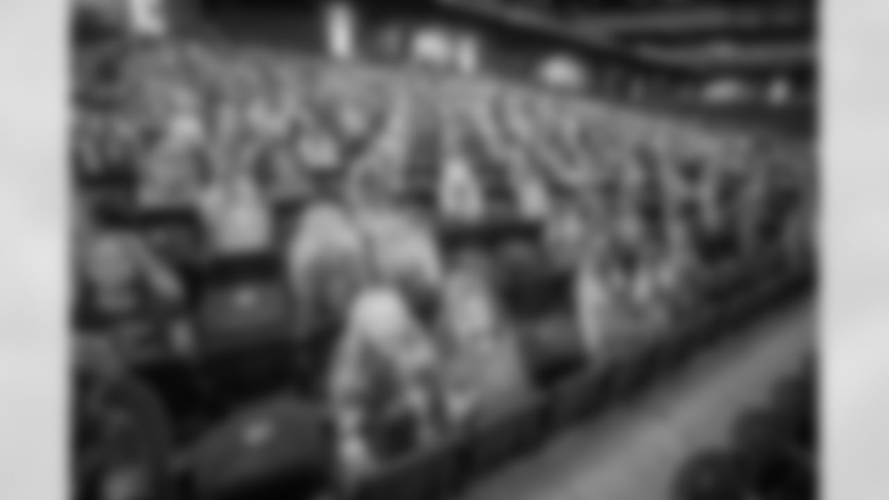 Ford Field Fan Cutouts