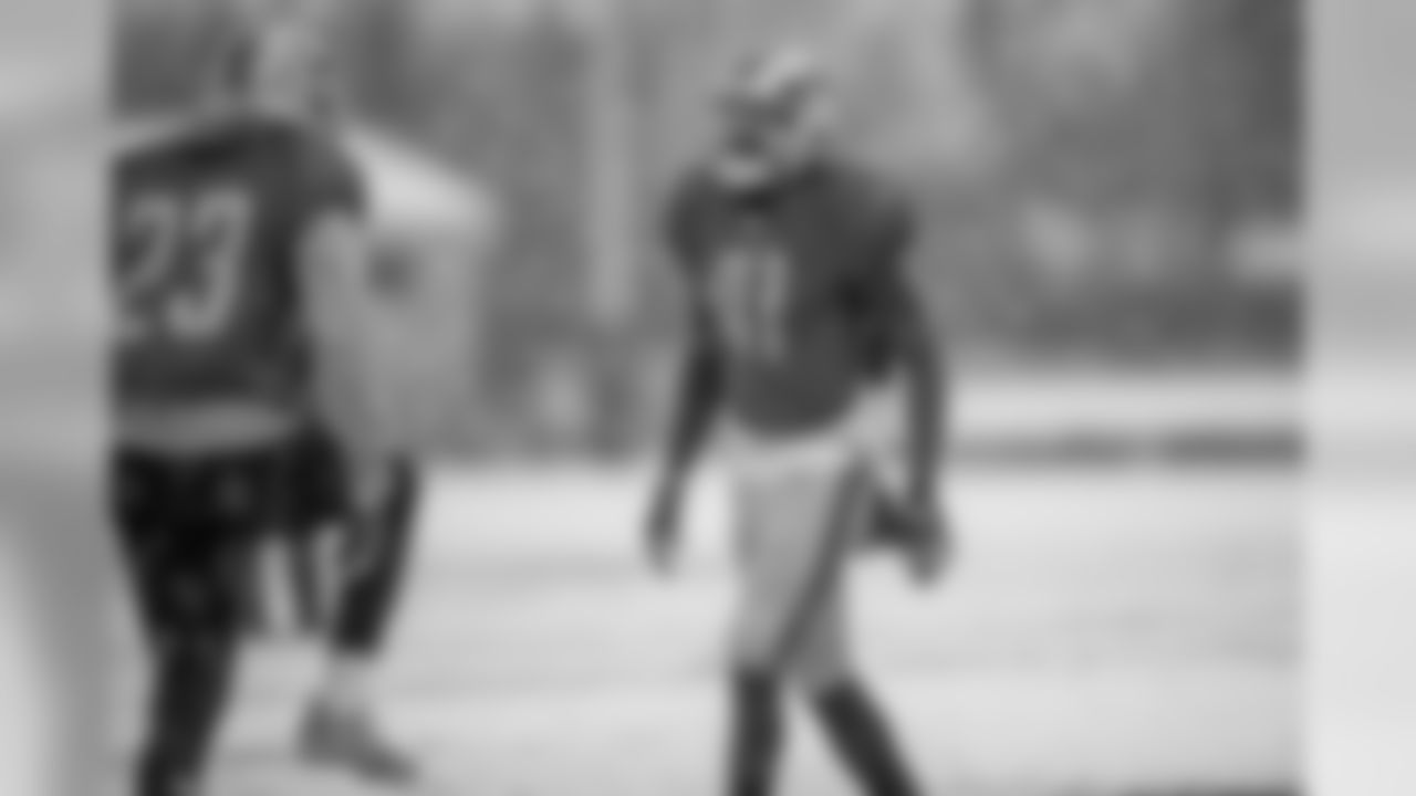 Detroit Lions safety David Jones (41) during practice at the Detroit Lions training facility on Thursday, Nov. 15, 2018 in Allen Park, Mich. (Detroit Lions via AP)