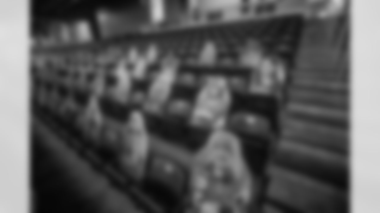 Ford Field Fan Cutouts