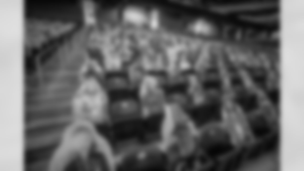 Ford Field Fan Cutouts