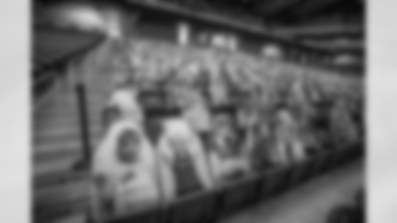 Ford Field Fan Cutouts
