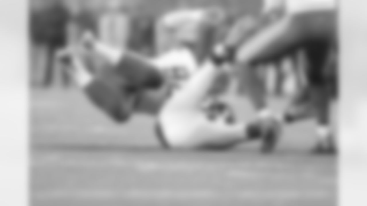 Haloti Ngata
