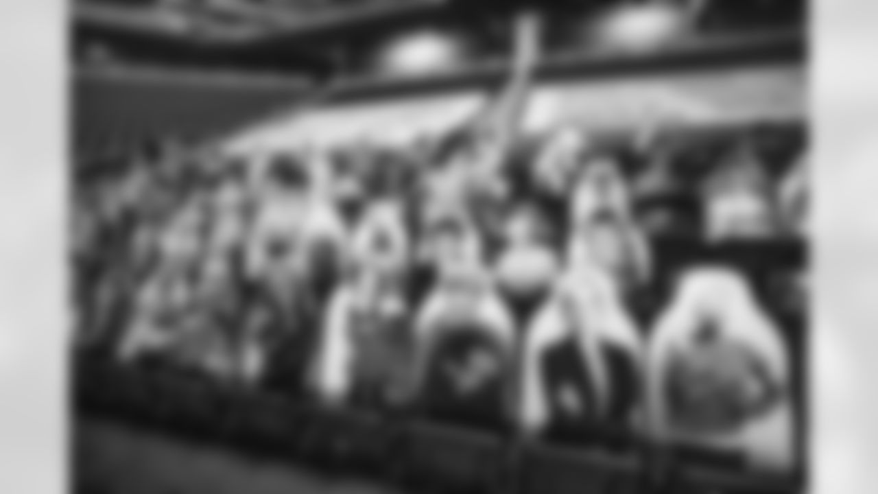 Fan cutouts at Ford Field in Detroit, MI on October 2, 2020. (Jeff Nguyen/Detroit Lions)