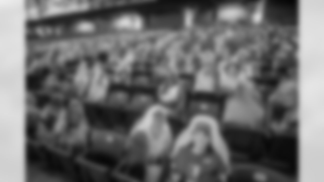 Ford Field Fan Cutouts